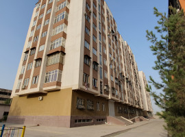 
                         г. Душанбе, Сино                                            