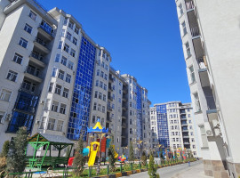 
                         г. Душанбе, Сино                                            
